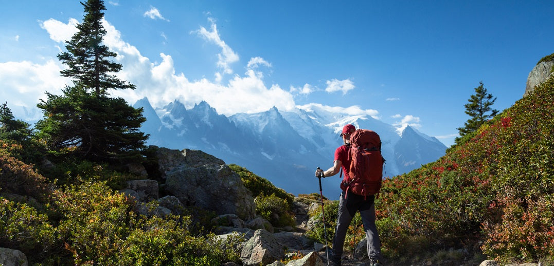 Chaussures Randonnée/Trekking Homme: Modèle Tout Terrain